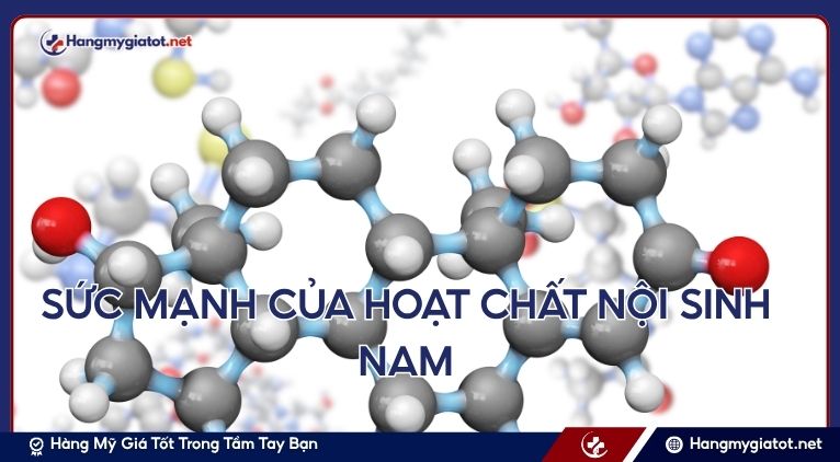 Sức Mạnh Của Hoạt Chất Nội Sinh Nam