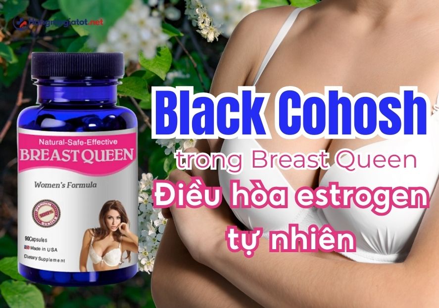 Lợi ích khi sử dụng Breast Queen có chứa Black Cohosh