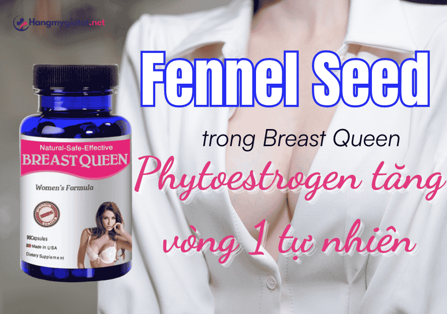 Fennel Seed trong Breast Queen Phytoestrogen tăng vòng 1 tự nhiên