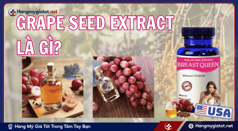 Grape Seed Extract là gì?