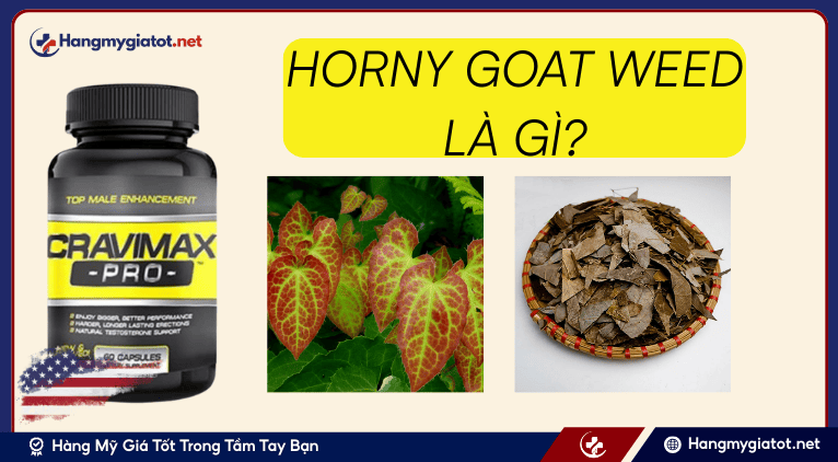 Horny Goat Weed là gì?