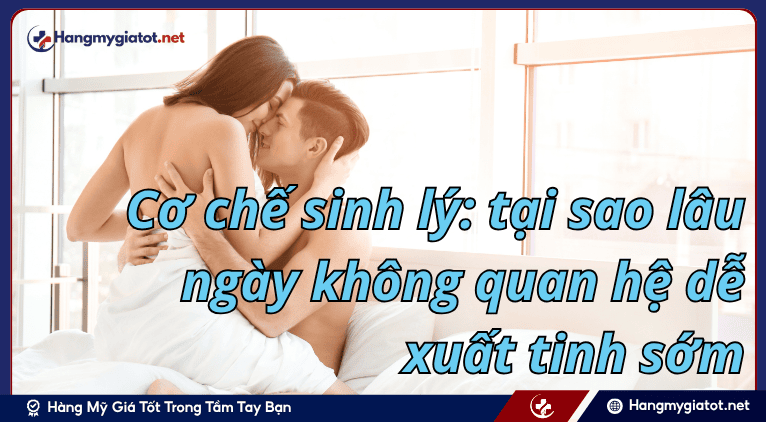 Cơ chế sinh lý: tại sao lâu ngày không quan hệ dễ xuất tinh sớm