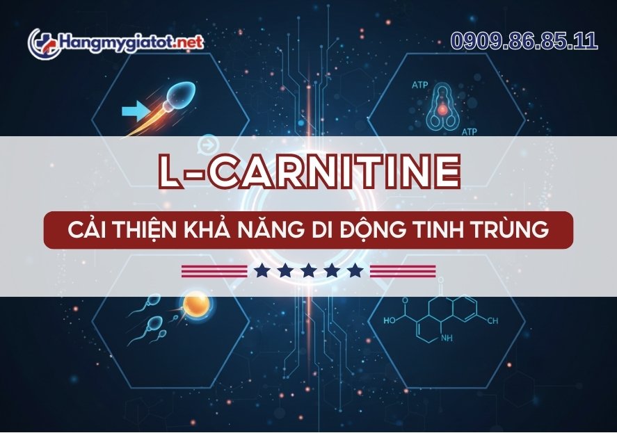 L-Carnitine trong Winmax Plus Cải thiện khả năng di động tinh trùng