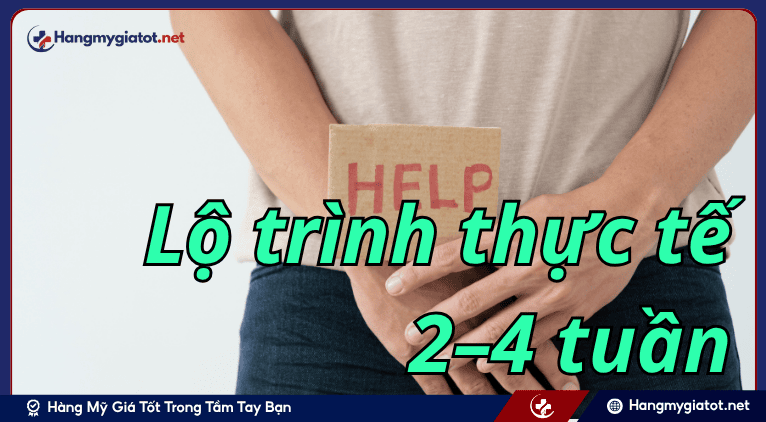 Lộ trình thực tế 2–4 tuần