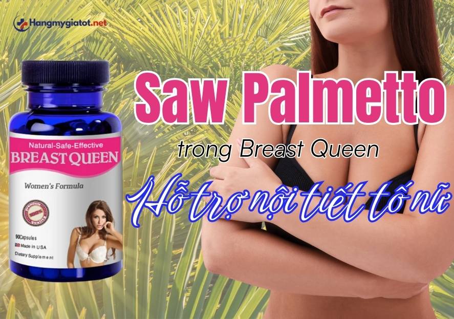 Saw Palmetto trong Breast Queen Hỗ trợ nội tiết nữ