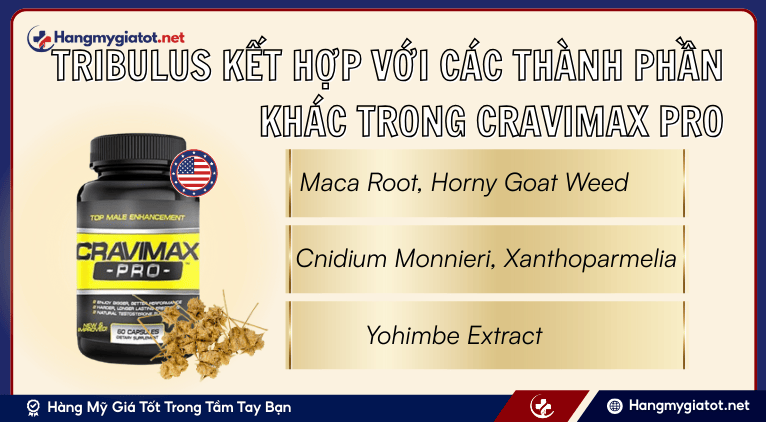 Tribulus kết hợp với các thành phần khác trong Cravimax Pro