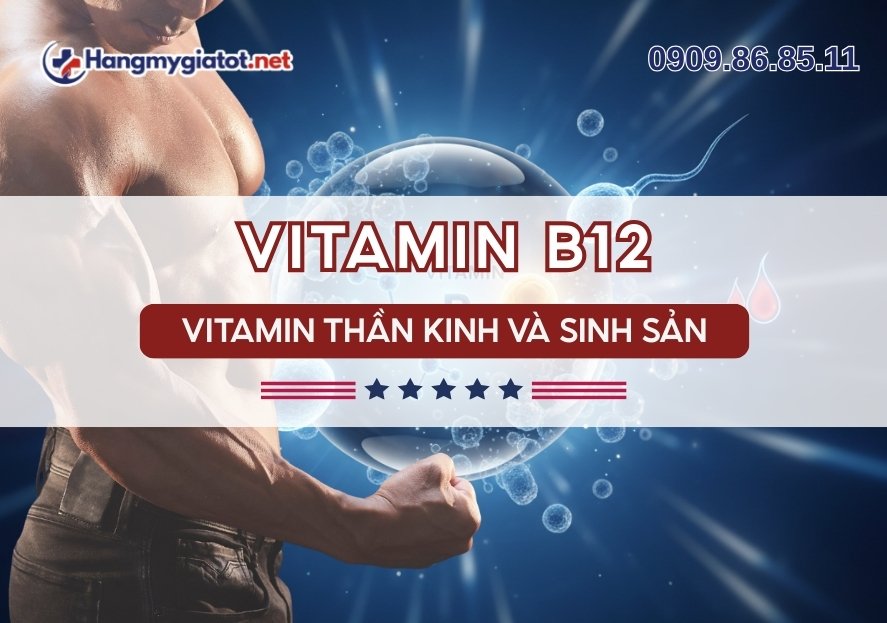 Vitamin B12 trong Winmax Plus Vitamin thần kinh & sinh sản