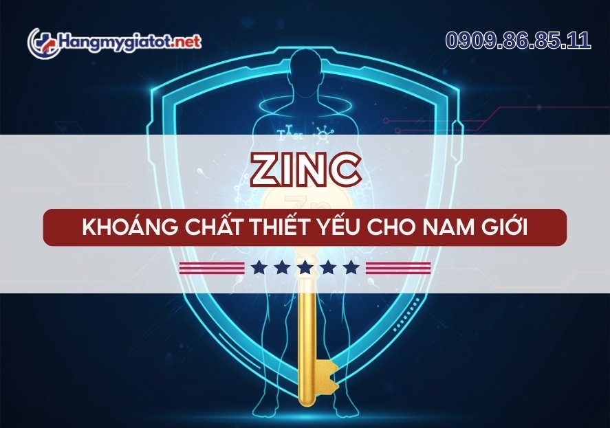 Zinc trong Winmax Plus Kẽm khoáng chất thiết yếu cho nam giới