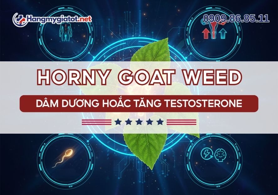 Horny Goat Weed trong Winmax Plus Dâm dương hoắc tăng testosterone