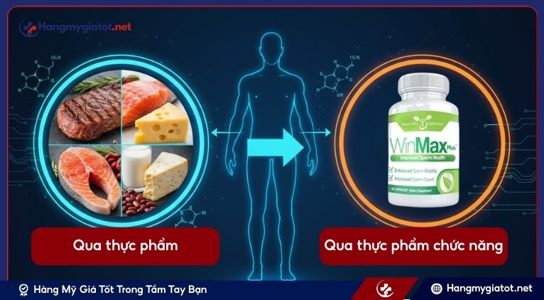 Cách bổ sung L-Lysine dành cho phái mạnh