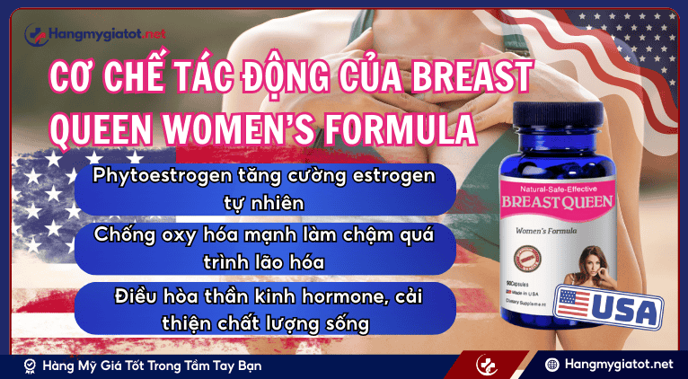 Cơ chế tác động của Breast Queen Women’s Formula