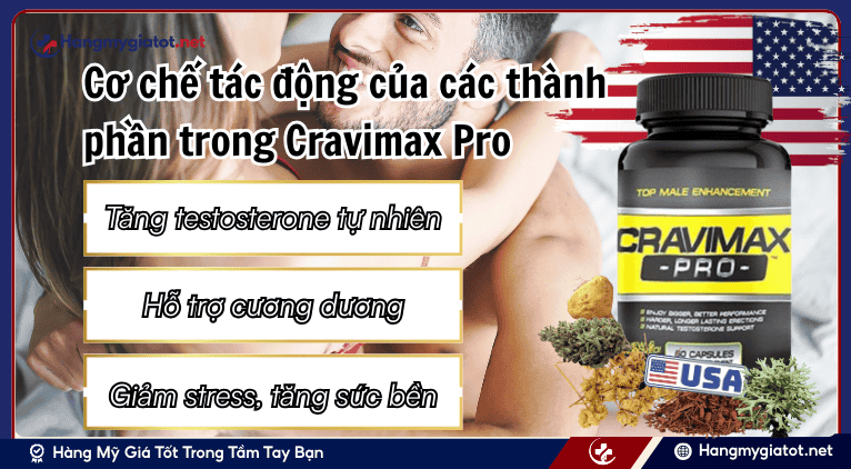 Cơ chế tác động của các thành phần trong Cravimax Pro
