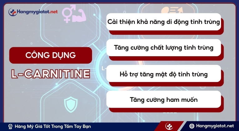 Công dụng của L-Carnitine đối với phái mạnh