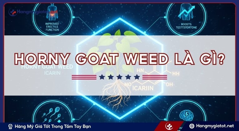 Horny Goat Weed là gì?