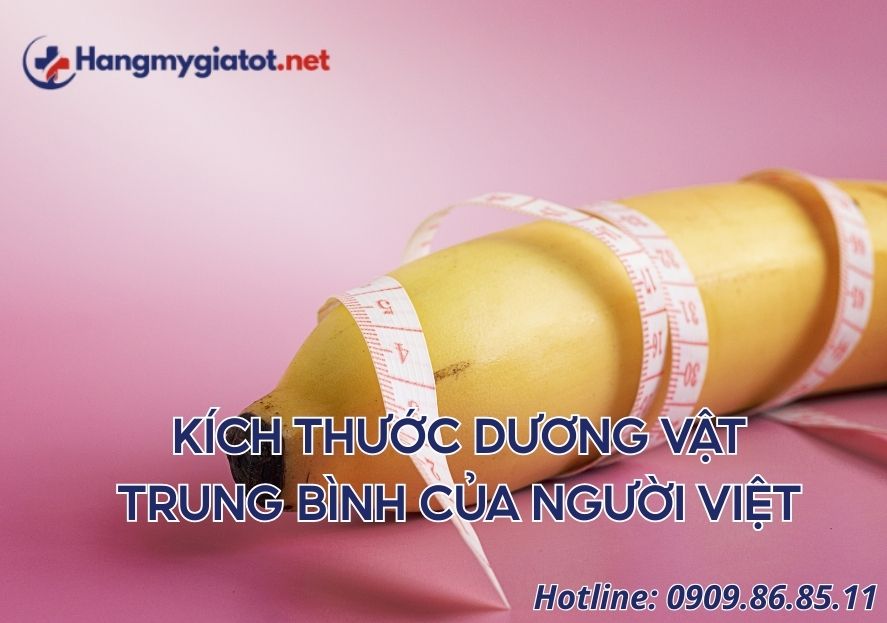 Kích thước dương vật trung bình của người Việt