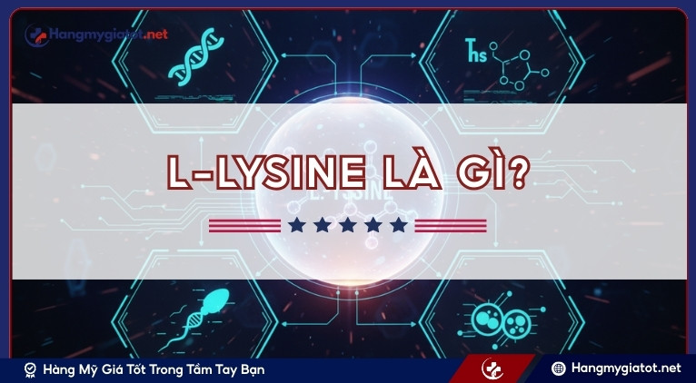 L-Lysine là gì?