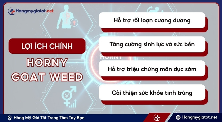 Lợi ích chính của Horny Goat Weed đối với nam giới