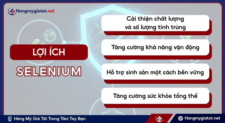 Lợi ích của Selenium đối với sức khỏe sinh lý nam