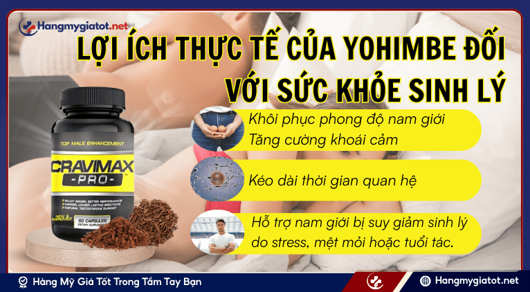 Lợi ích thực tế của Yohimbe đối với sức khỏe sinh lý