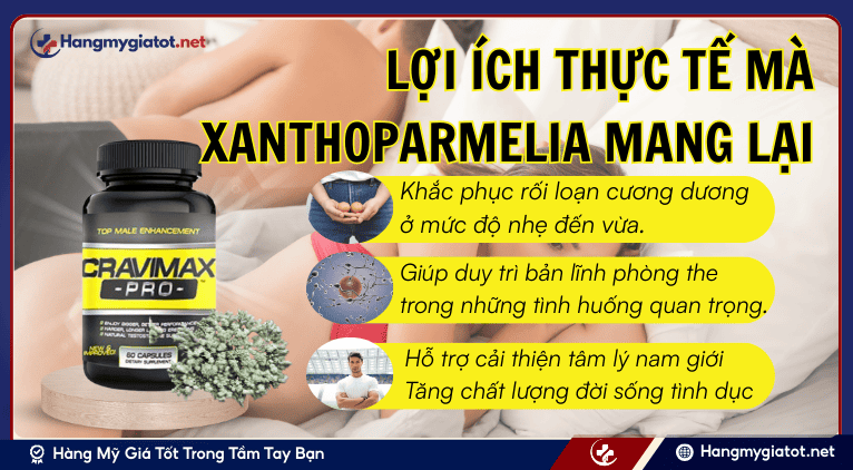 Lợi ích thực tế mà Xanthoparmelia mang lại