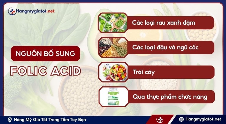 Nguồn bổ sung Folic Acid cho nam giới