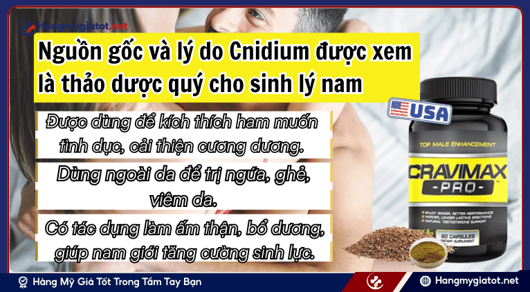 Nguồn gốc và lý do Cnidium được xem là thảo dược quý cho sinh lý nam