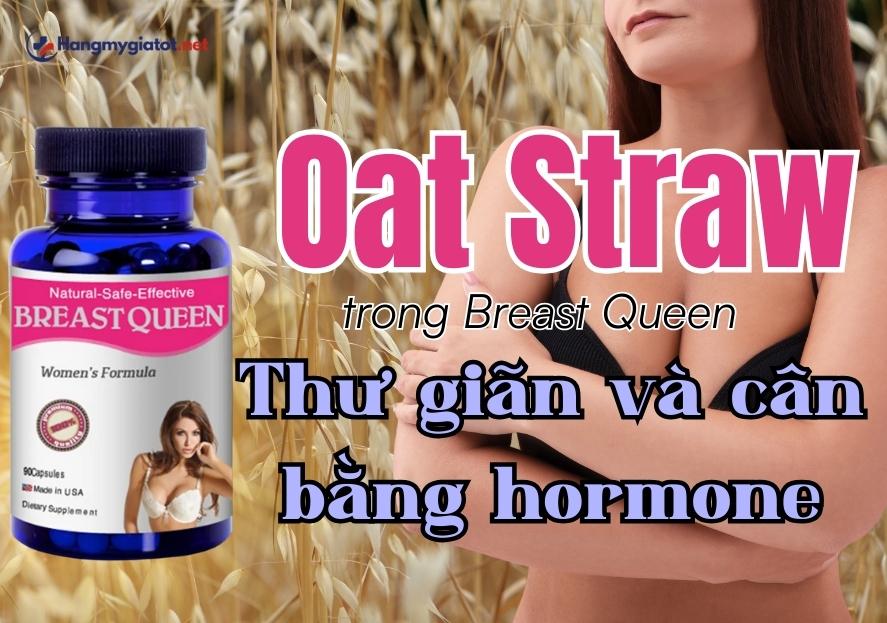 Oat Straw trong Breast Queen thư giãn và cân bằng hormone