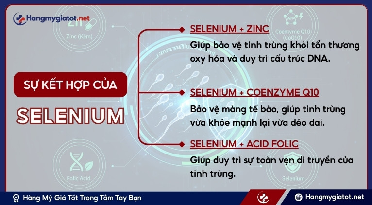 Sự kết hợp hoàn hảo giữa Selenium với các hoạt chất khác trong Winmax Plus