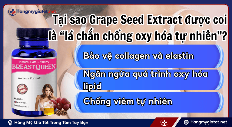 Tại sao Grape Seed Extract được coi là “lá chắn chống oxy hóa tự nhiên”?