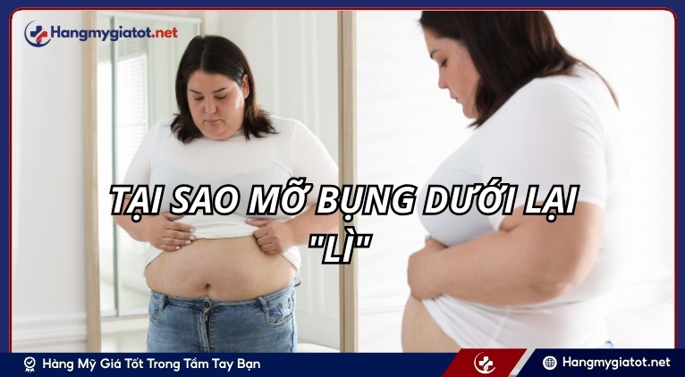 Tại sao mỡ bụng dưới lại "lì"