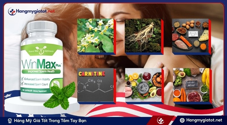 Thành phần chi tiết của Winmax Plus