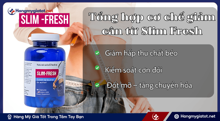 Tổng hợp cơ chế giảm cân từ Slim Fresh