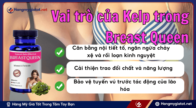 Vai trò của Kelp trong Breast Queen