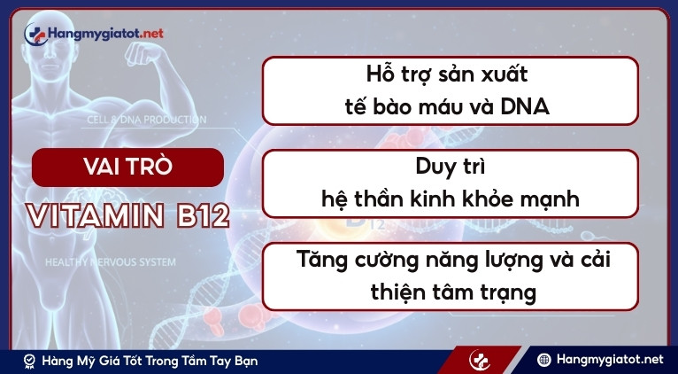 Vai trò của Vitamin B12 đối với sức khỏe