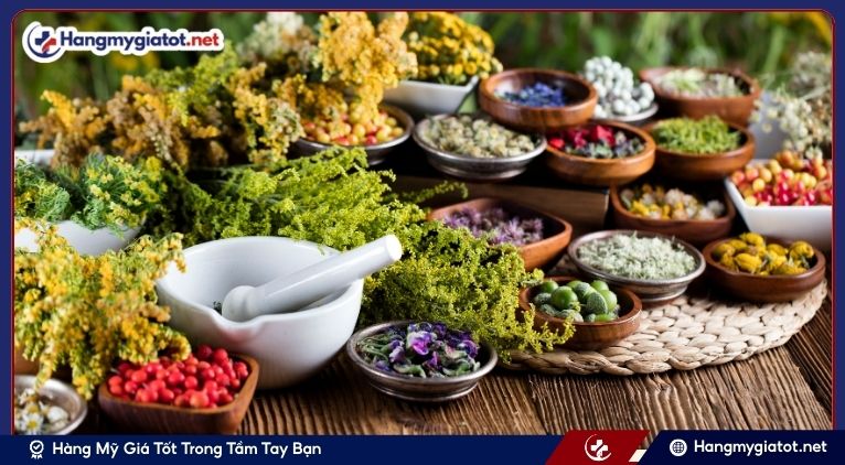 Vì sao nên chọn viên bổ thận thay vì các phương pháp dân gian?