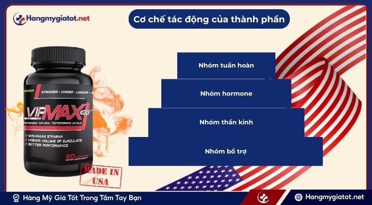 Cơ chế tác động từ thành phần của Vipmax RX