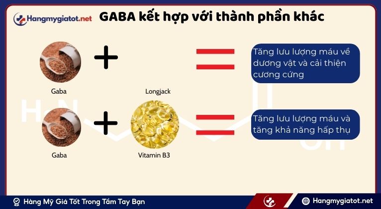 GABA kết hợp với các thành phần khác trong Vipmax RX