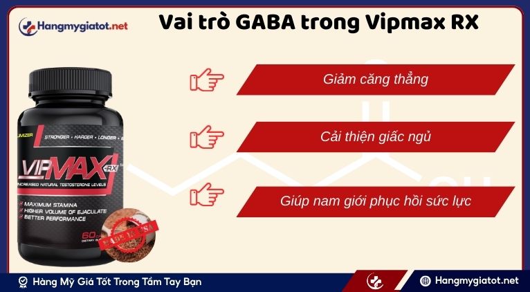Vai trò của GABA trong Vipmax RX đối với sức khỏe sinh lý nam giới