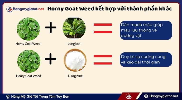 Horny Goat Weed kết hợp với các thành phần khác trong Vipmax RX