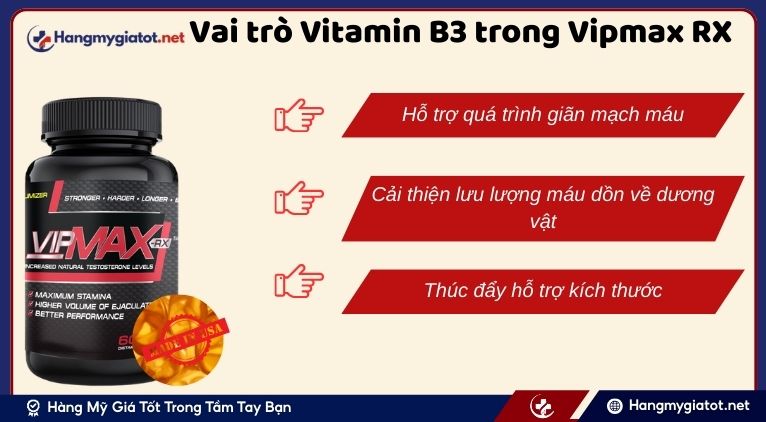 Vai trò của Vitamin B3 trong Vipmax RX đối với sức khỏe sinh lý nam giới