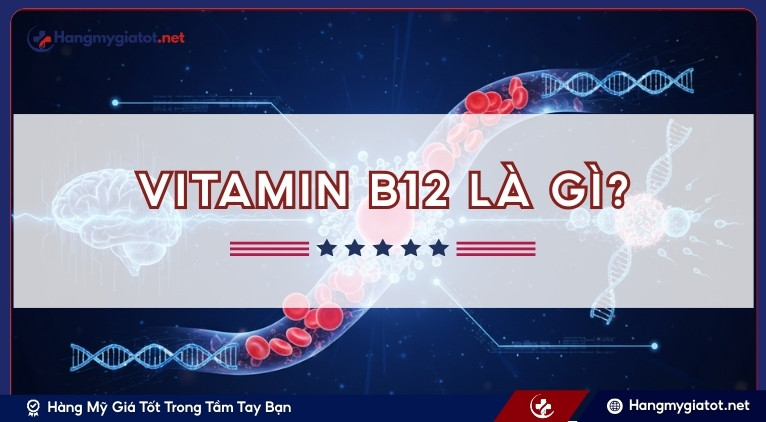 Vitamin B12 là gì?