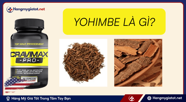 Yohimbe là gì?