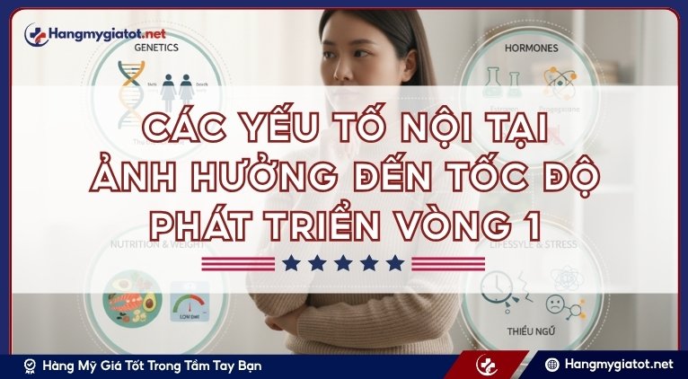 Các yếu tố nội tại ảnh hưởng đến tốc độ phát triển vòng 1